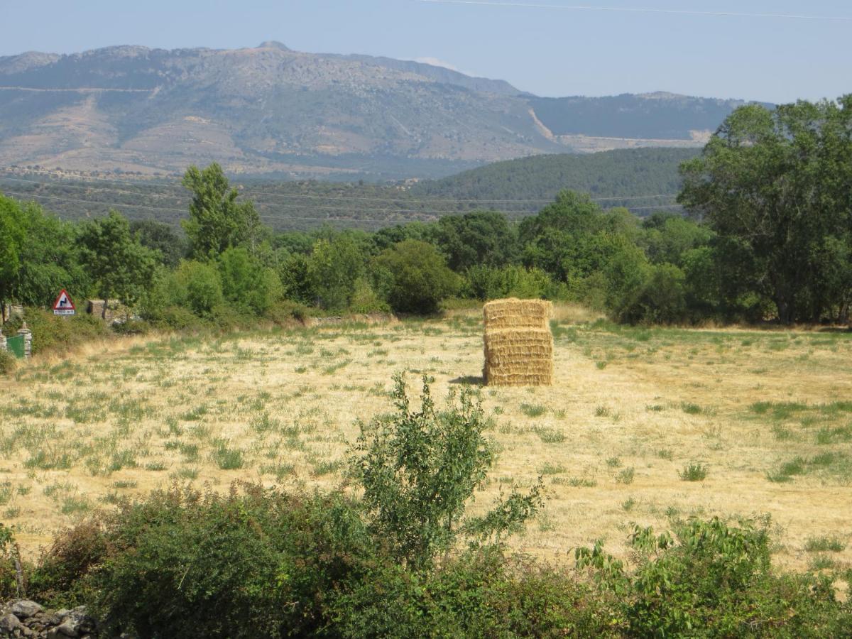 Casa Rural El Remolon Pinuecar Екстериор снимка